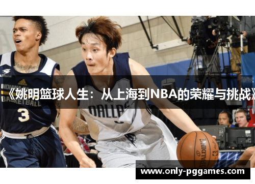 《姚明篮球人生：从上海到NBA的荣耀与挑战》