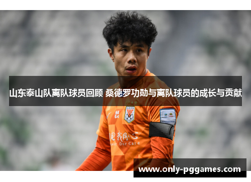 山东泰山队离队球员回顾 桑德罗功勋与离队球员的成长与贡献