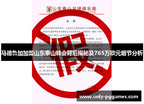 马德鲁加加盟山东泰山转会背后揭秘及765万欧元细节分析