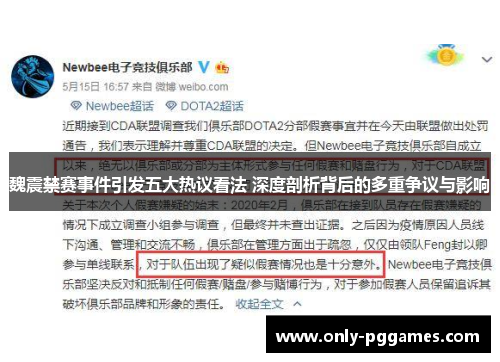 魏震禁赛事件引发五大热议看法 深度剖析背后的多重争议与影响